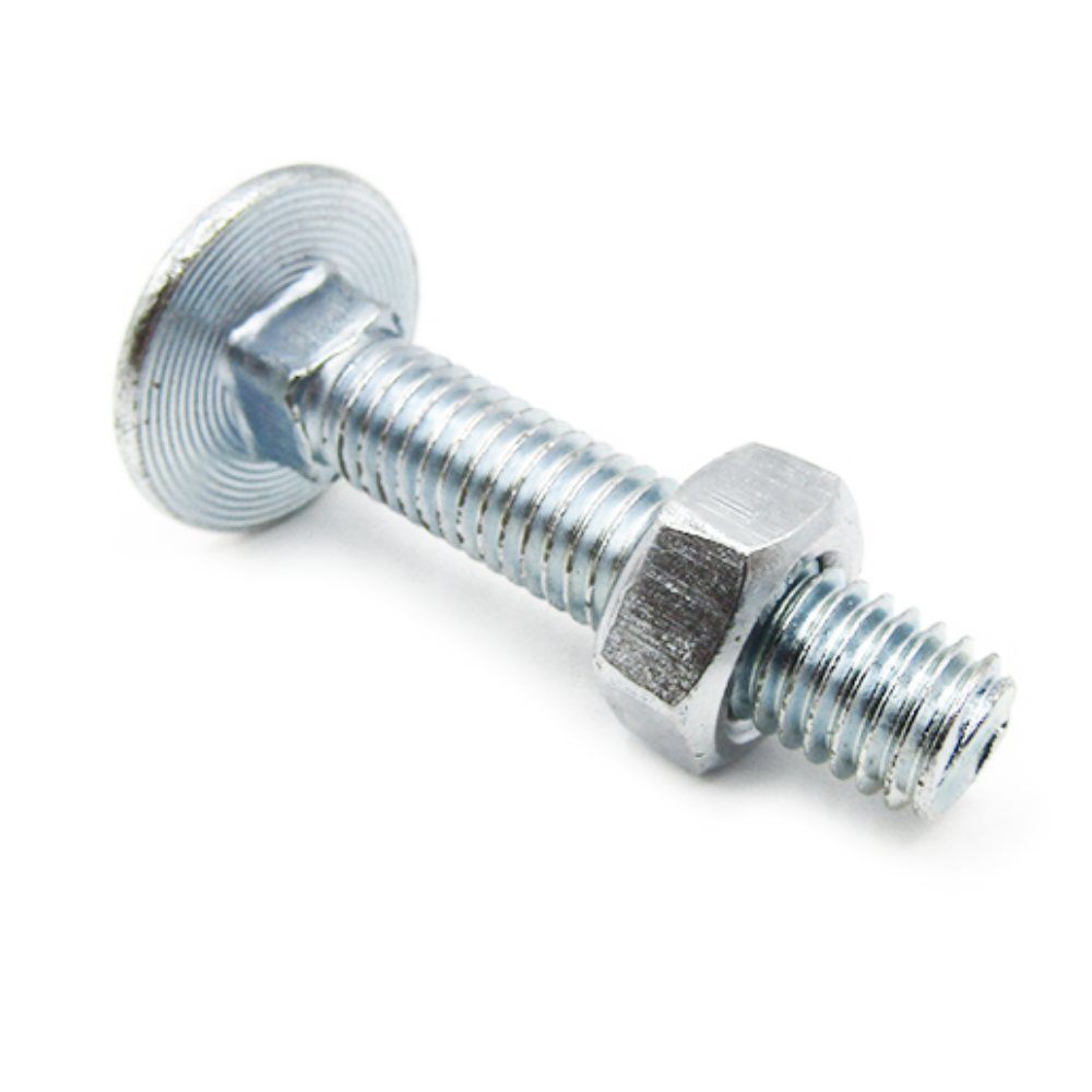 M6x40 Coach bolts steel - Evelyne Bolts®